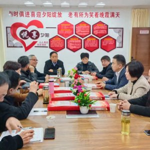 鹿城鎮(zhèn)老年協(xié)會(huì)學(xué)習(xí)宣傳貫徹黨的二十大精神，結(jié)合實(shí)際做好自身工作討論會(huì)召開(kāi)