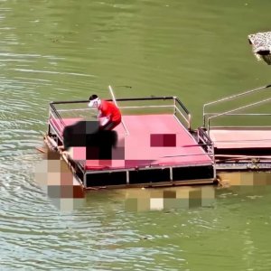 馬上評(píng)｜蹦極不是玩命，景區(qū)安全之繩絲毫松不得